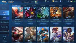 Screenshot_20210618-230111_Mobile Legends Bang Bang.webp