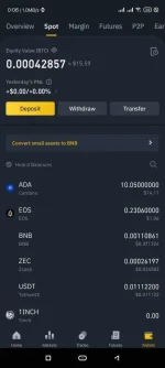 Screenshot_2021-06-19-00-06-41-746_com.binance.dev.jpg Screenshot_2021-06-19-00-06-41-746_com.binance.dev.jpg