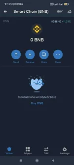 Screenshot_2021-06-23-21-11-01-223_com.wallet.crypto.trustapp.webp