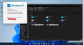 Windows 11 Professional.jpg