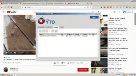 1624542303594.webp 1624542303594.webp