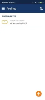 Screenshot_2021-06-25-22-46-21-242_net.openvpn.openvpn.webp
