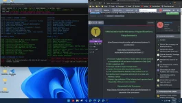 Win11.webp