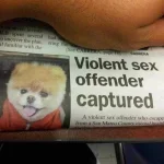 violent.webp