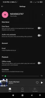 Screenshot_2021-06-28-22-43-03-616_com.spotify.music.webp