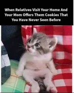 FB_IMG_1618069449617.webp