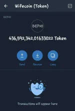 Screenshot_20210701-081924_Trust Wallet.webp