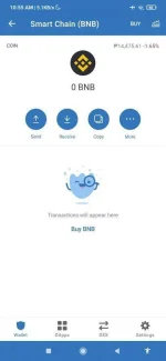 Screenshot_2021-07-01-10-55-27-063_com.wallet.crypto.trustapp.webp