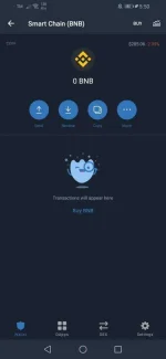 Screenshot_20210701_175034_com.wallet.crypto.trustapp.webp