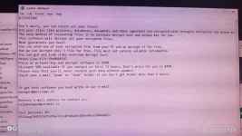 16256135066422510709674106687083.webp