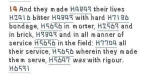 212919695_966557280838914_1123622339751447642_n.jpg