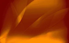 1625647151005.webp