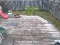 IMG_20210707_114807061.webp