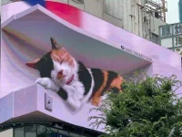 A-giant-3D-cat-on-a-billboard-in-Tokyo-moves-and-meows-like-a-real-thing-and-its-impressing-e...webp A-giant-3D-cat-on-a-billboard-in-Tokyo-moves-and-meows-like-a-real-thing-and-its-impressing-e...webp