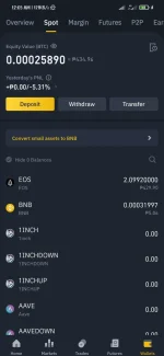 Screenshot_2021-07-10-00-05-07-722_com.binance.dev.webp Screenshot_2021-07-10-00-05-07-722_com.binance.dev.webp
