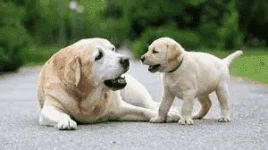 1625985662809.webp 1625985662809.webp