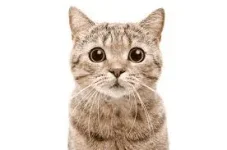 1625985727308.webp