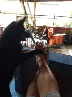 20210620_172505.webp