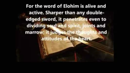 Screenshot_20210310-204149.jpg