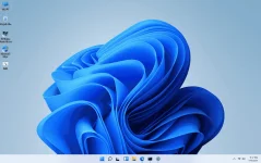 1626362275035.webp