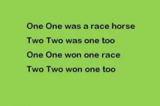 race.webp race.webp