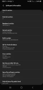 Screenshot_20210719-181737_Settings.webp