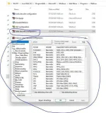 Capture.webp