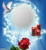 images (1).webp