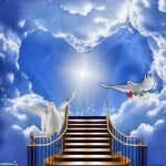 images (2).webp