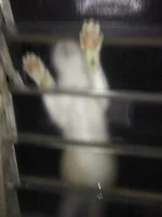 received_790082548476560.jpeg
