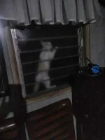 received_284763932484754.jpeg