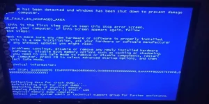 219230689_2564712347159094_196074373949809728_n.webp