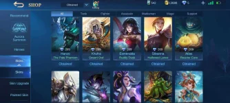 Screenshot_20210726-151745_Mobile Legends Bang Bang.webp Screenshot_20210726-151745_Mobile Legends Bang Bang.webp