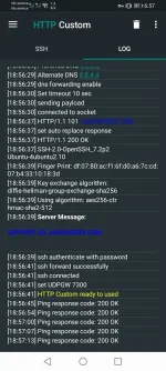 Screenshot_20210727_185716_xyz.easypro.httpcustom.webp