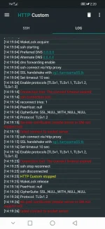 Screenshot_20210728_142004_xyz.easypro.httpcustom.webp
