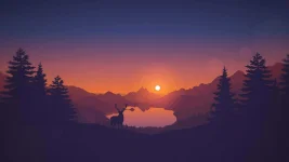 minimalist.webp