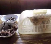 FB_IMG_16275582342121187.webp