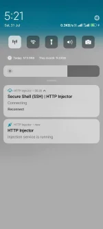 Screenshot_2021-07-31-17-21-32-358_com.evozi.injector.webp