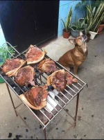 20210801_174459.webp