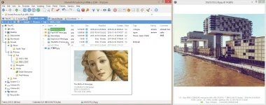 XY1950FP.webp XY1950FP.webp