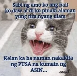 1628067587584.webp