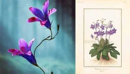 images (6).webp