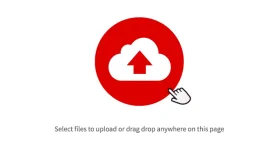 images (1).png