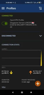 Screenshot_2021-08-07-10-58-48-019_net.openvpn.openvpn.webp