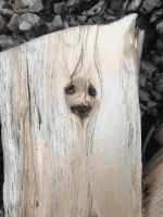 baby groot.webp