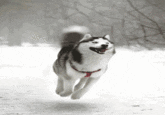 1e4e194753e8407c281bb66e29c40aa640e26c9220356afc8d8886d3b50d9bf5.gif