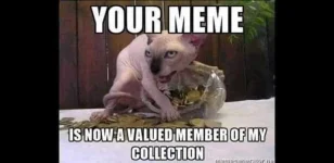 FB_IMG_1628216355086.webp