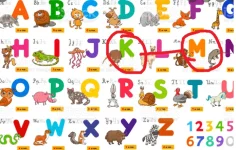 1628601057471.webp