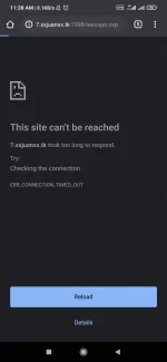 Screenshot_2021-08-11-11-38-29-687_com.android.chrome.webp