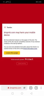 Screenshot_20210811_160036_com.yandex.browser.jpg